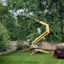 Best Tree Mulching  in Ray City, GA