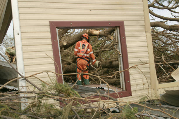 Best Tree Cabling and Bracing  in Ray City, GA